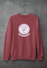 Load image into Gallery viewer, IIT (BHU) Varanasi Unisex Sweatshirt for Men/Women-Coal-Ektarfa.online
