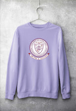 Load image into Gallery viewer, IIT (BHU) Varanasi Unisex Sweatshirt for Men/Women-Lavender-Ektarfa.online
