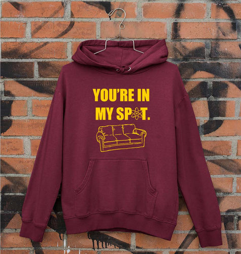 Sheldon Cooper The Big Bang Theory Unisex Hoodie for Men/Women-Maroon-Ektarfa.online